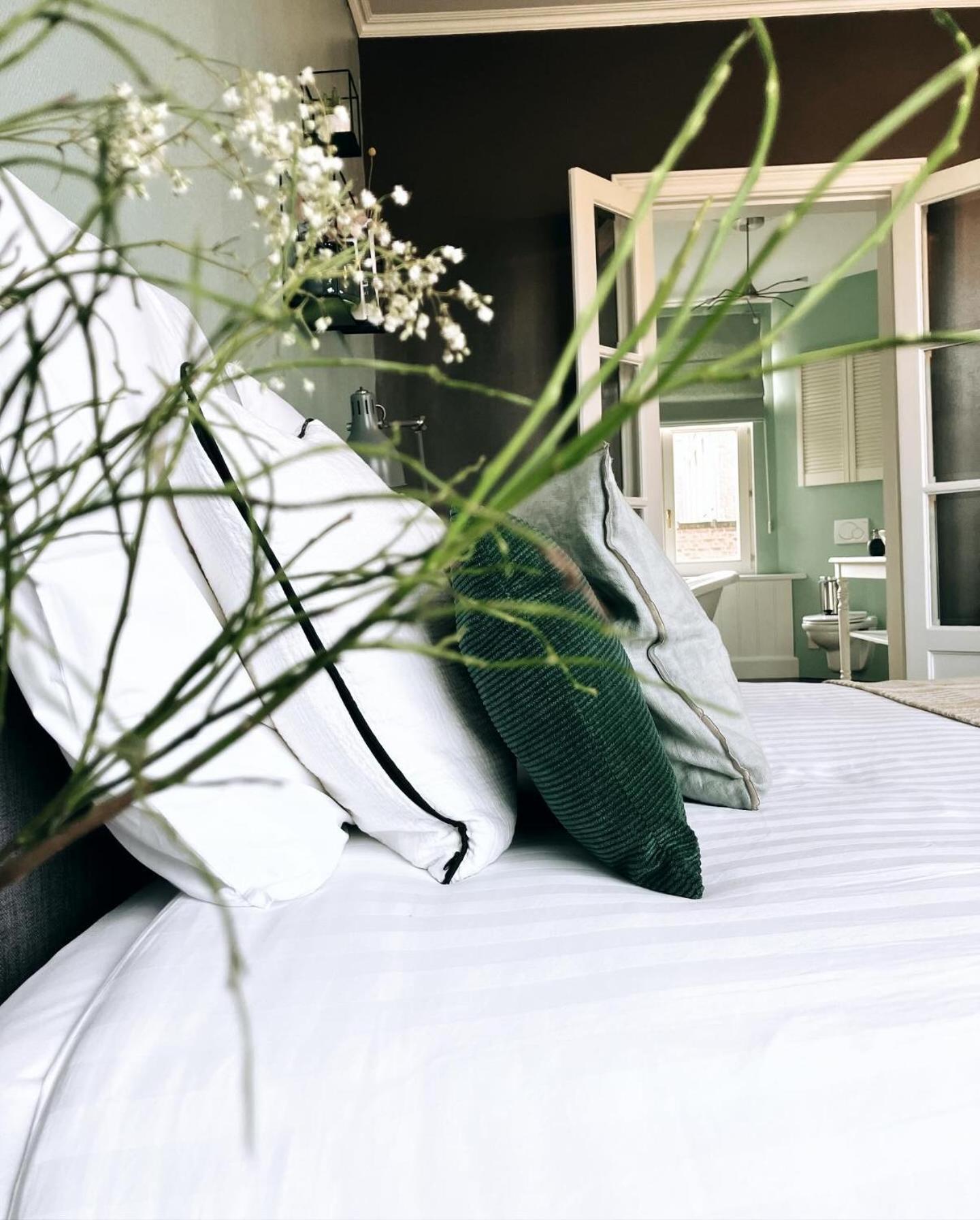 Domus Portus Bed & Breakfast Dendermonde Exterior photo